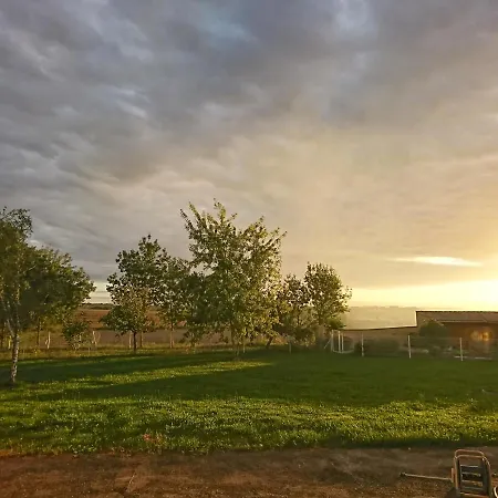 Adorable With Piscine And * Lempaut