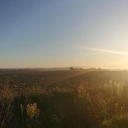 Adorable With Piscine And * Lempaut